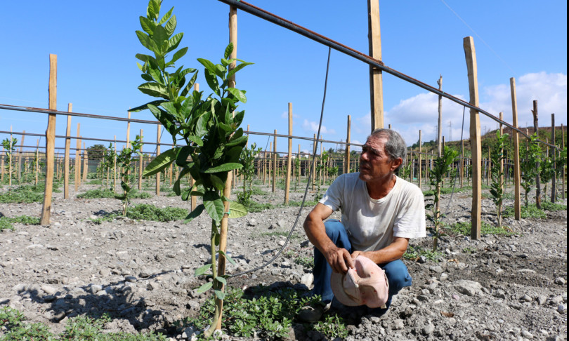 Troppo caldo lavoro vietato nei campi