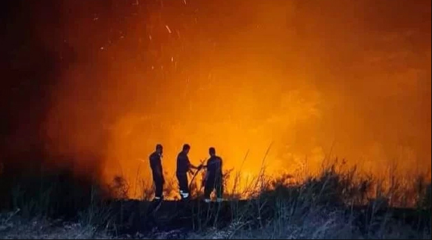 Incendi in Calabria