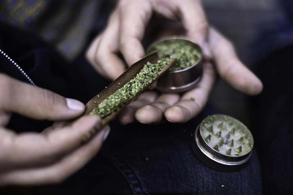 La legalizzazione della cannabis è un favore alle mafie