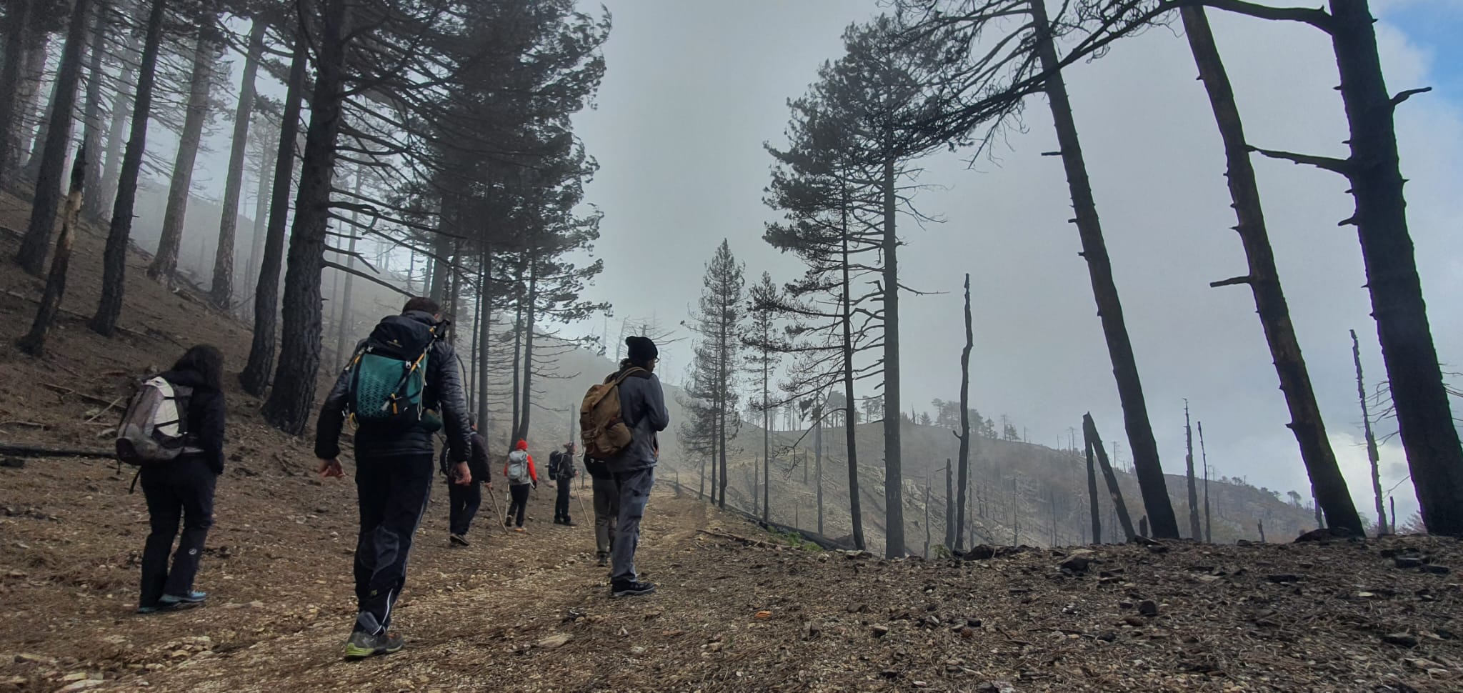 incendi estivi prevenzione aspromonte