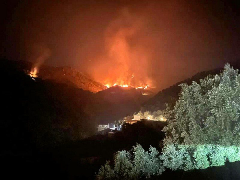 incendi aspromonte