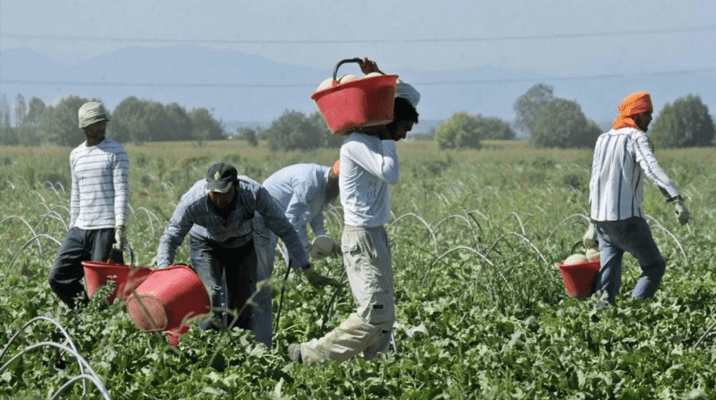 vittime incidenti lavoro calabria