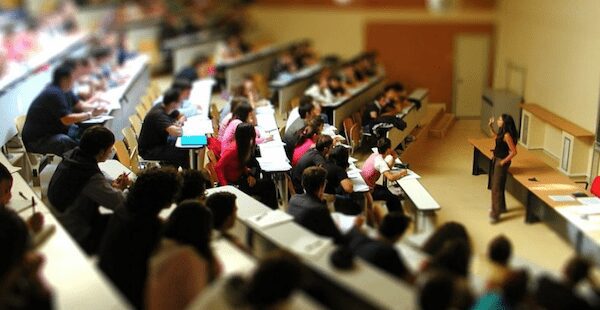 università facoltà lavori più richiesti