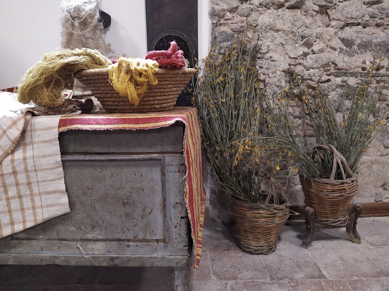 calabria ginestra longobucco