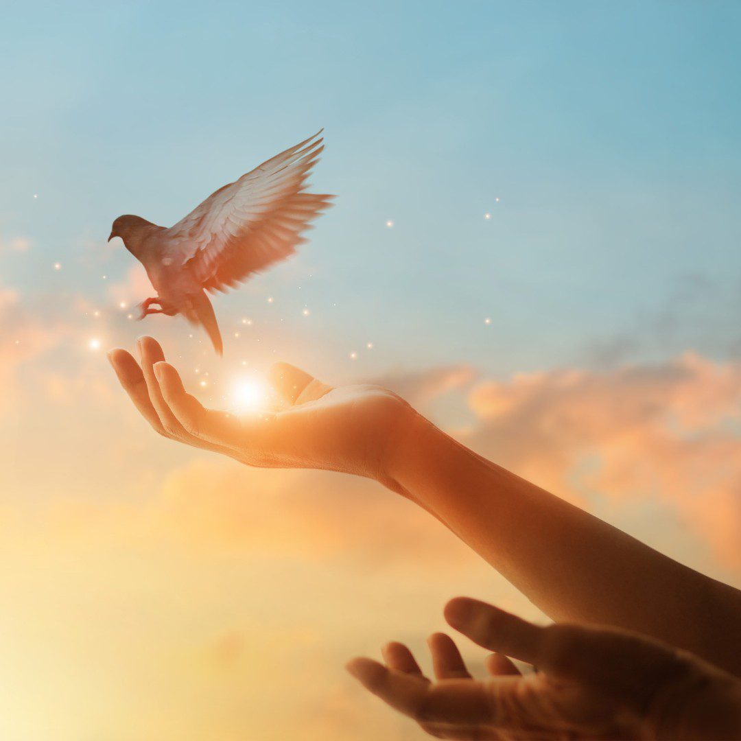 Gaudium et spes