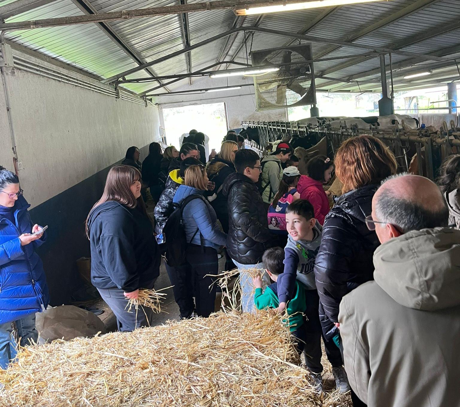 Inclusione sociale minori Calabria a Gerace l'iniziativa dell'Ambito di Polistena