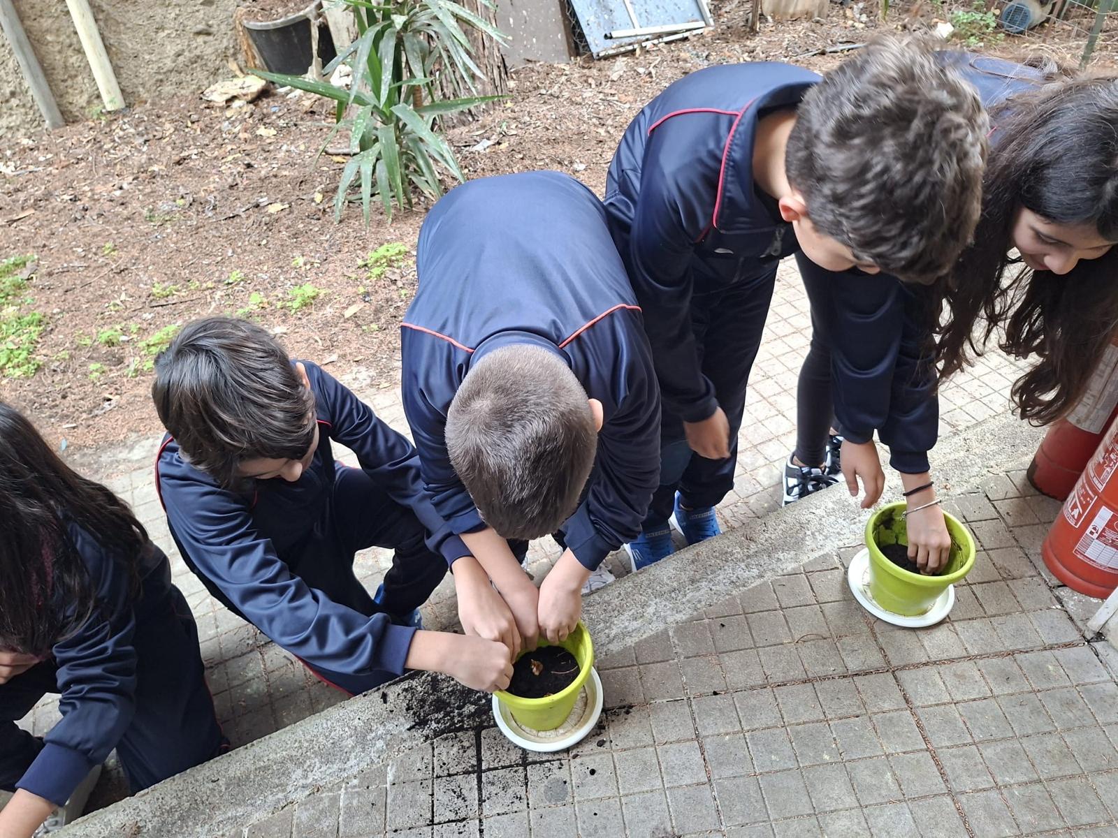 Progetto Crocus I C Catanoso De Gasperi