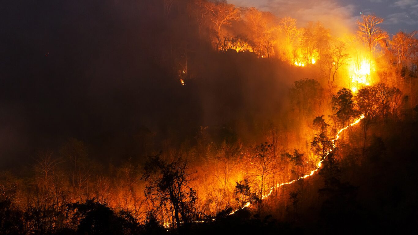 incendi e salvaguardia territorio