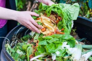 Spreco alimentare