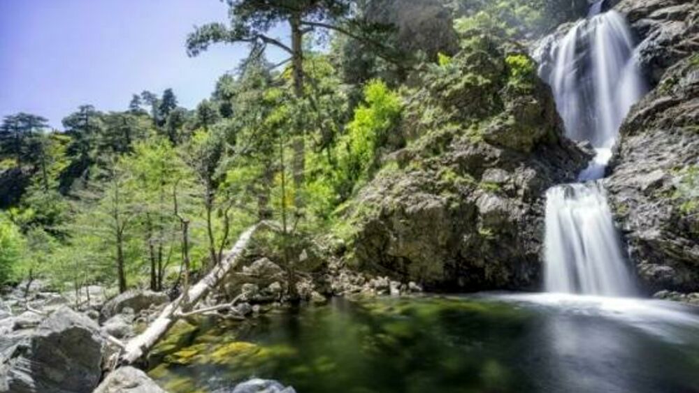parchi naturali calabria