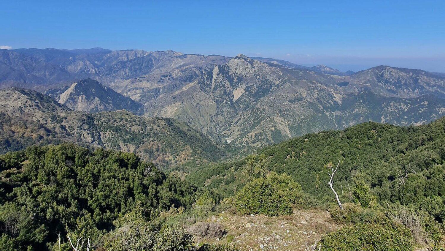 scapparone aspromonte