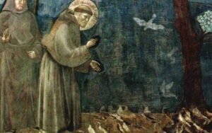 San Francesco dAssisi